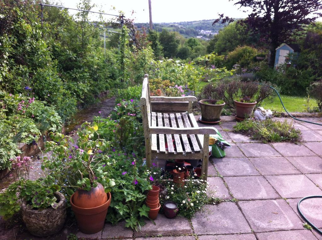 Vine Cottage Penpillick 外观 照片