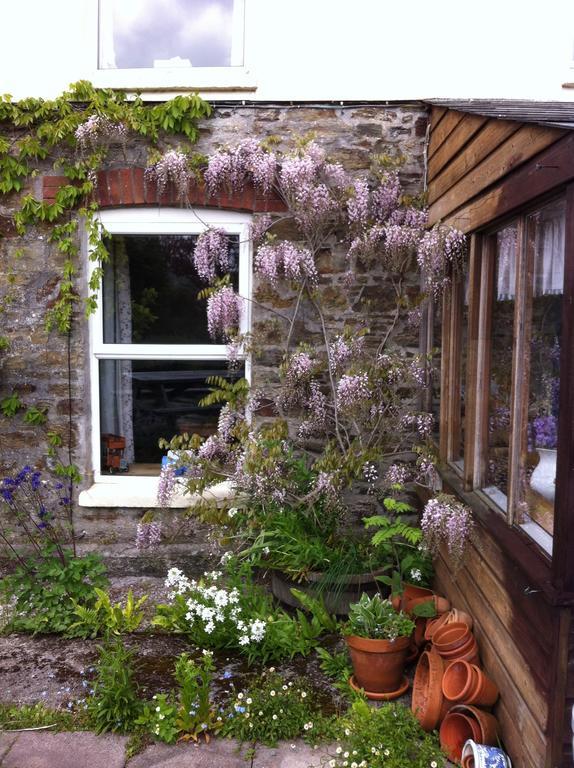 Vine Cottage Penpillick 外观 照片