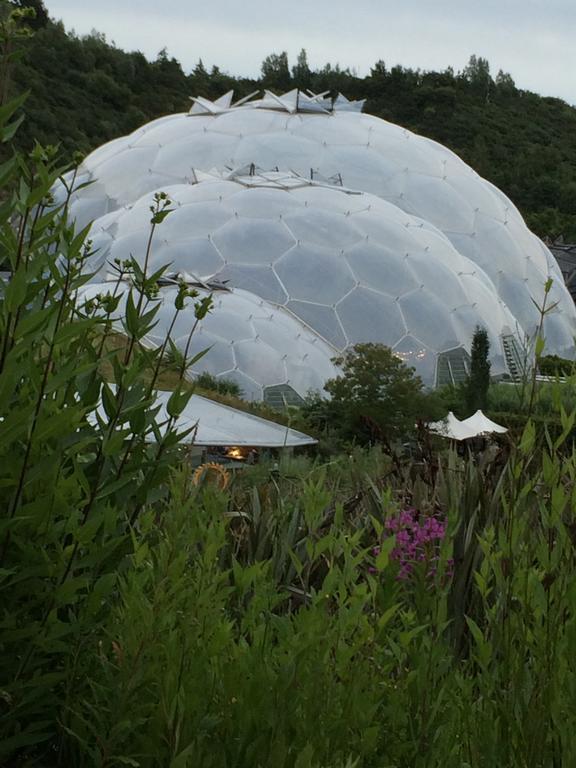 Vine Cottage Penpillick 外观 照片