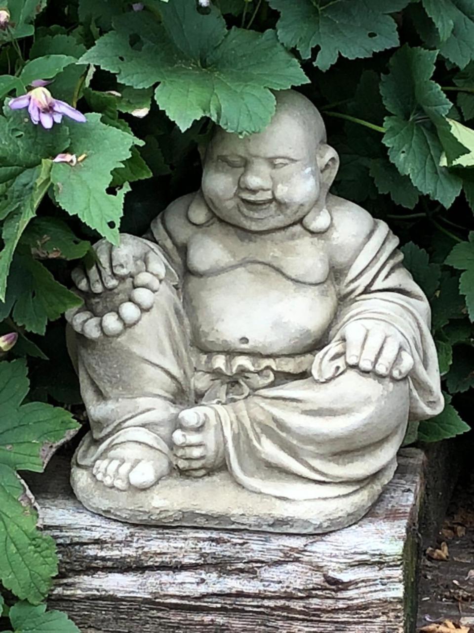 Vine Cottage Penpillick 外观 照片