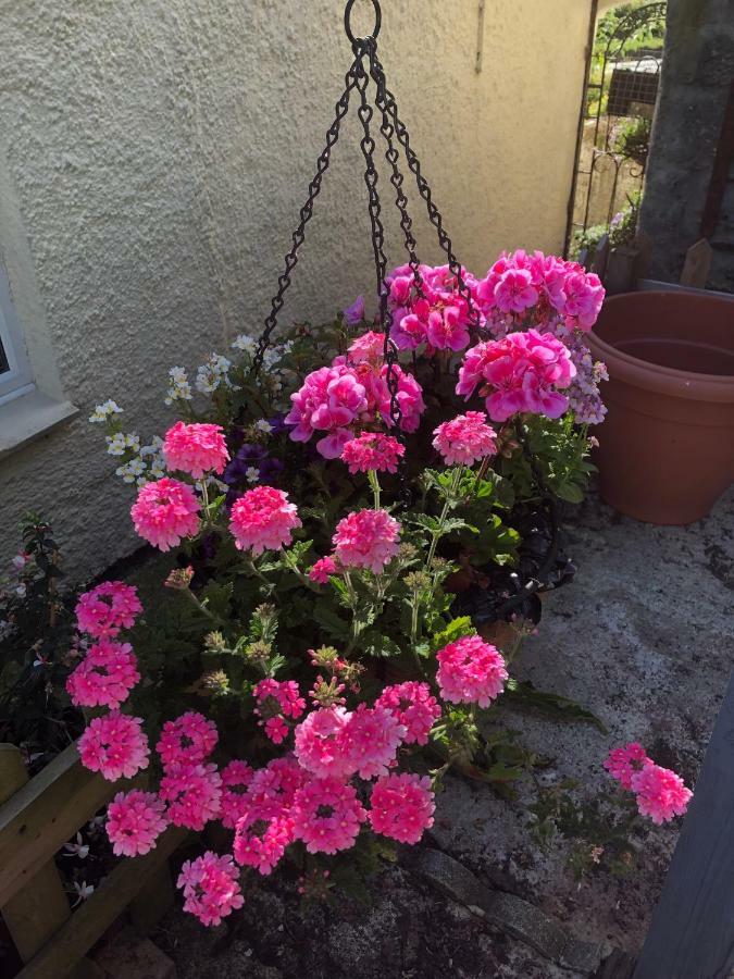 Vine Cottage Penpillick 外观 照片