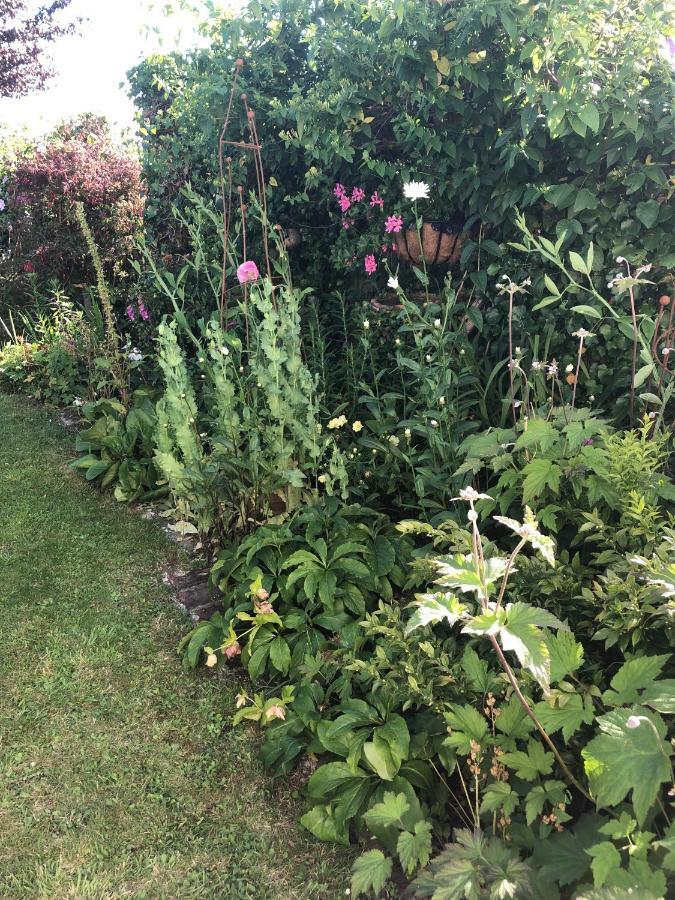Vine Cottage Penpillick 外观 照片