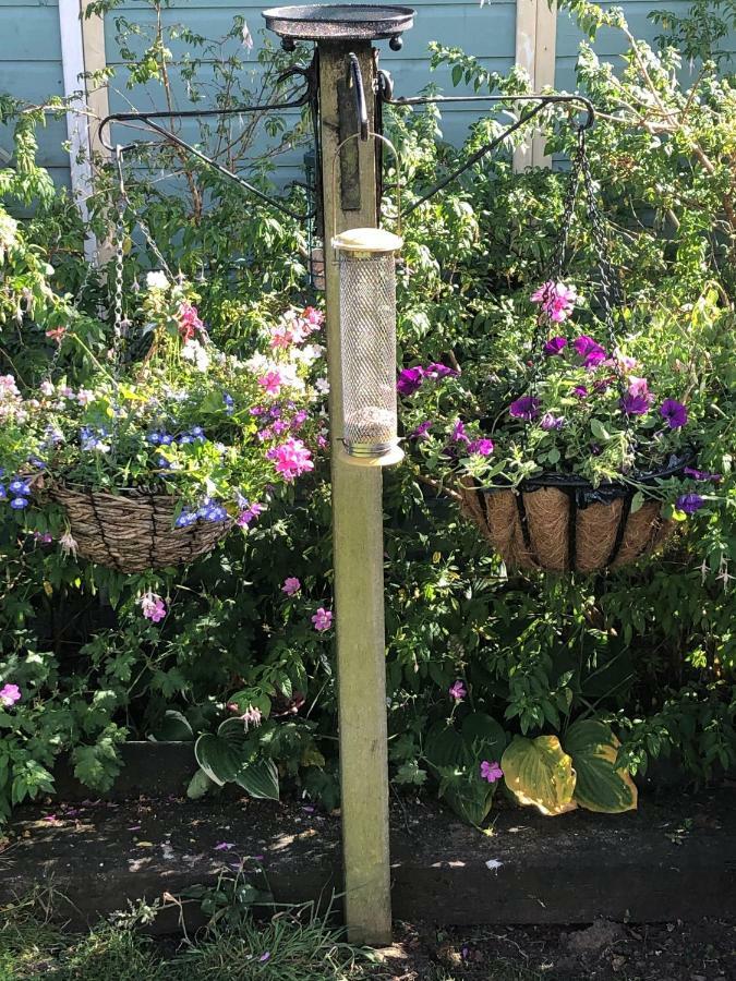 Vine Cottage Penpillick 外观 照片