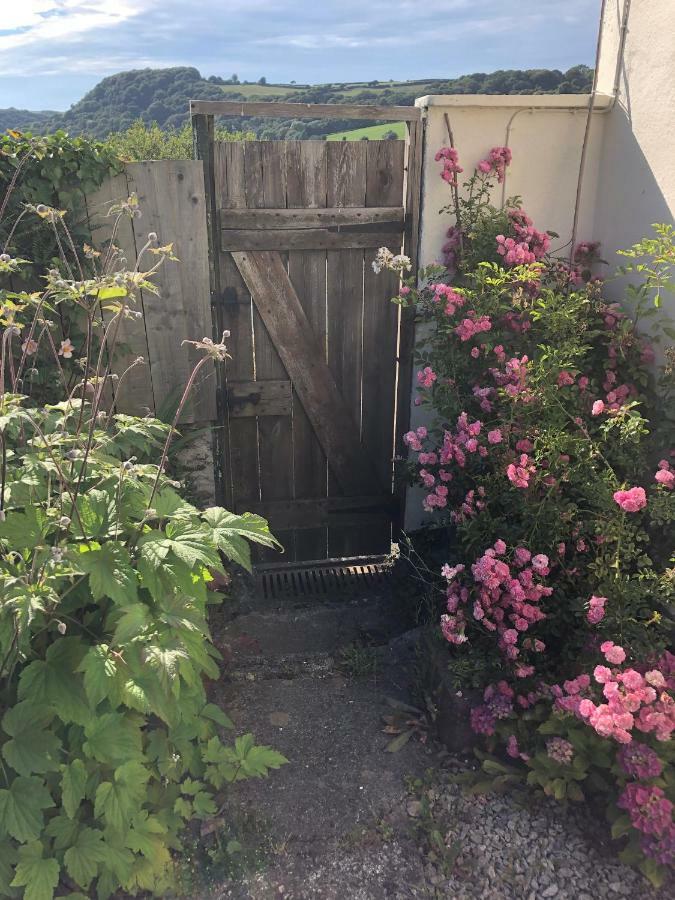 Vine Cottage Penpillick 外观 照片